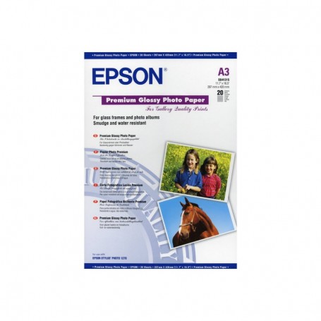 Epson Papier Photo Glacé Premium 255gr A3 (0,297 x 0,420) 20 feuilles | C13S041315