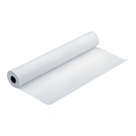 Epson Papier Photo Glacé Premium 255gr 1,524 (60") x 30,5m (Ø3") | C13S042132