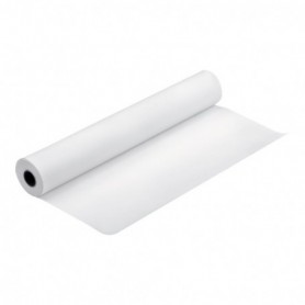 Epson Papier couché qualité photo 100gr 0,420 (A2") x 15m | C13S041102