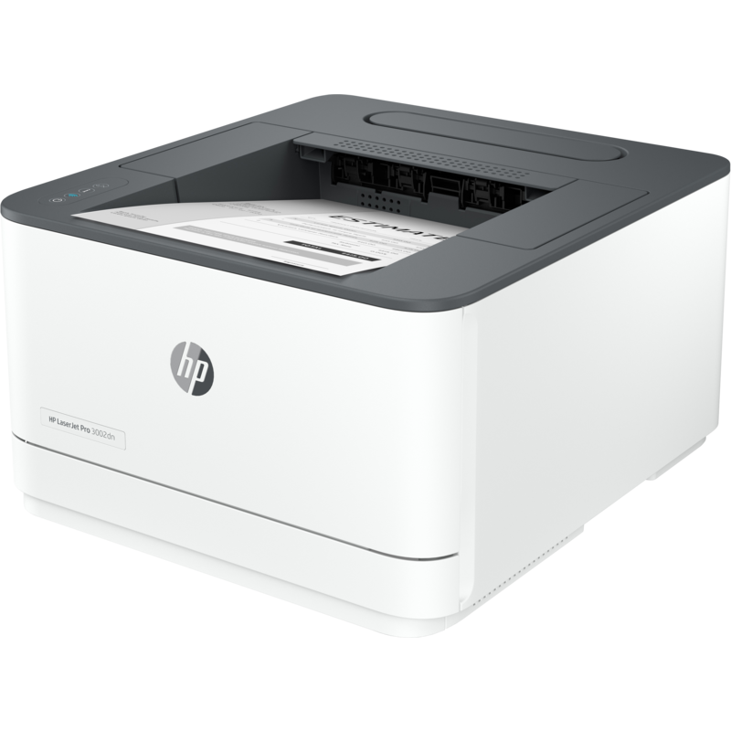 Imprimante laser HP LaserJet Pro 3002dn (3G651F)